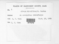 Image Associated With the Occurence